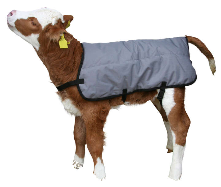 KERBL Kälberdecke Ripstopp